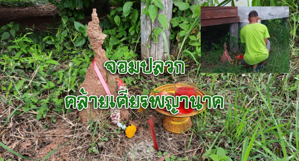 จอมปลวกคล้ายเศียรพญานาค